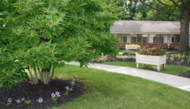 The Laurels of Worthington
