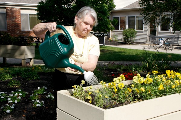The Laurels of Worthington: Garden